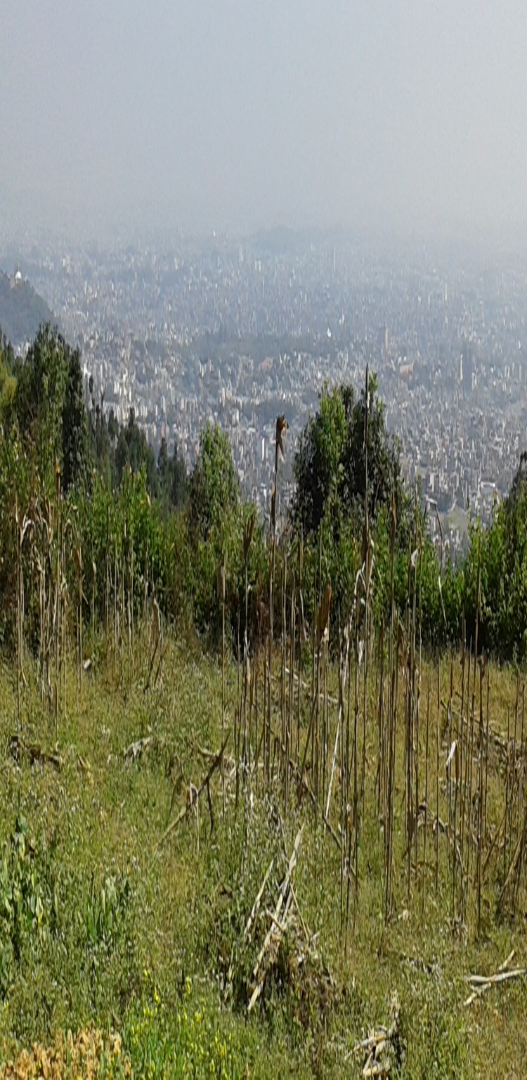 Land on sale big size naikap