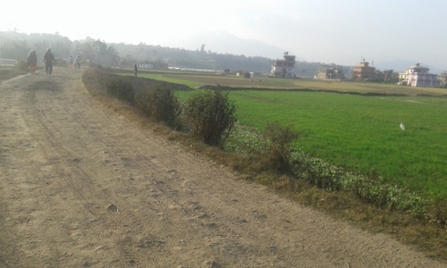 A big sized land on sale