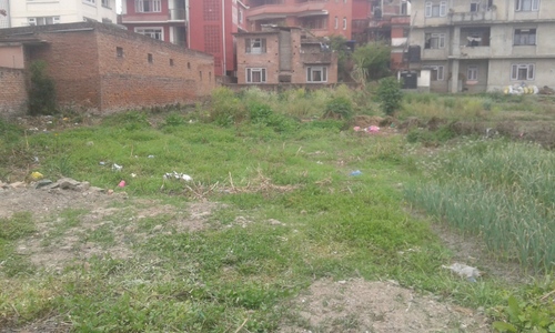 land on sale sanepa