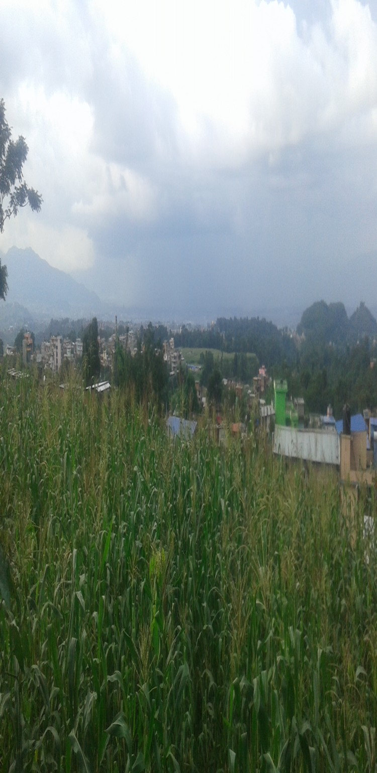 Land on sale 