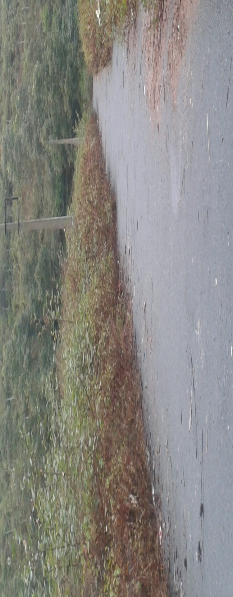 Land On Sale